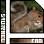 Squirrels (165)