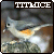 Tufted Titmice (Estonia)